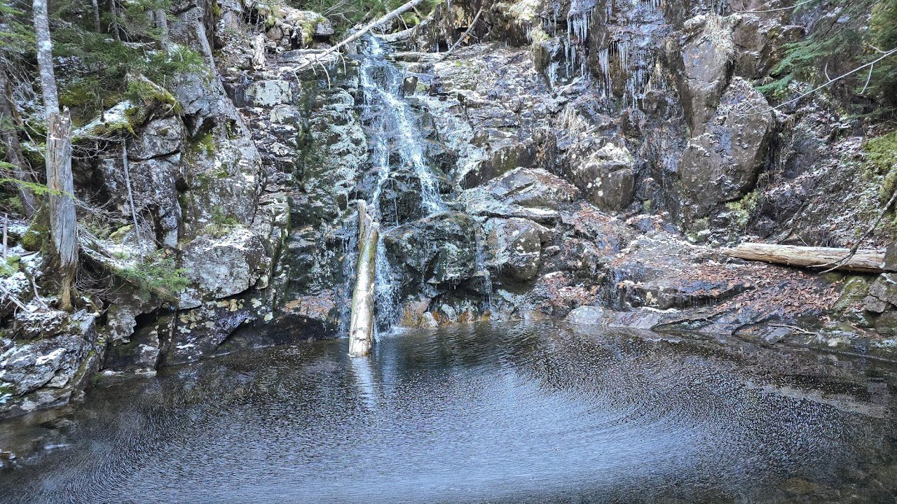 Maudslay State Park