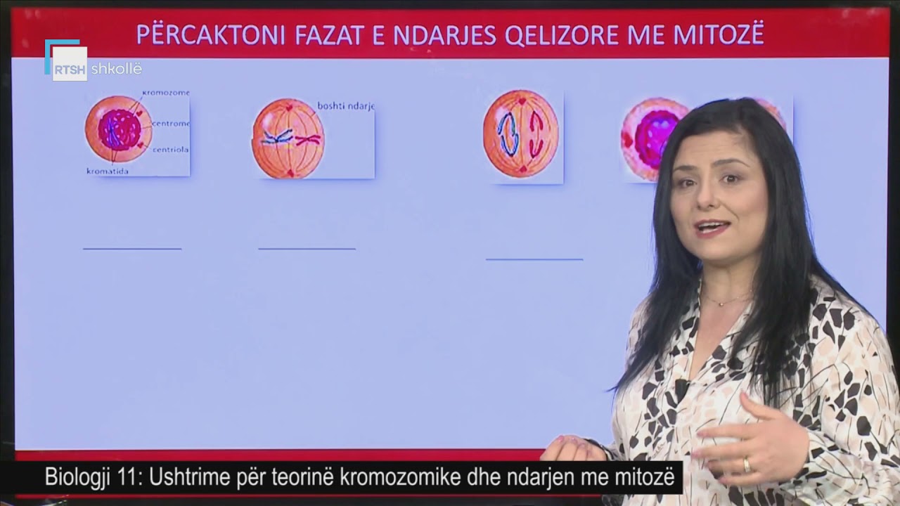 Biologji 11 - Ushtrime për teorinë kromozomike dhe ndarjen me mitozë