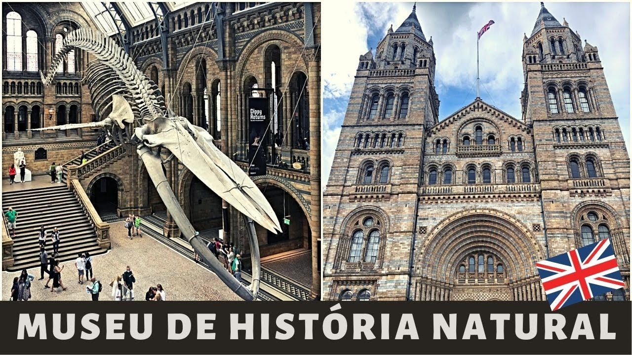 PASSEIO EM LONDRES: MUSEU DE HISTÓRIA NATURAL (NATURAL HISTORY MUSEUM)