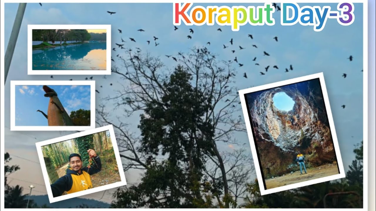 Koraput ra Prakruti Sundarta🏞️ | Koraput Jouthi Prakruti Katha Kahe🌿
