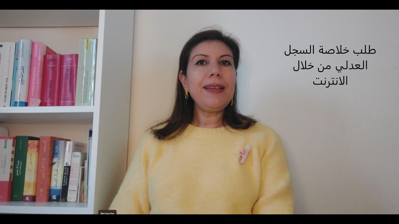 خلاصة السجل العدلي في فرنسا