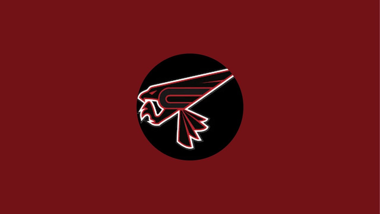 Chesterfield Falcons 14u Huber is live!