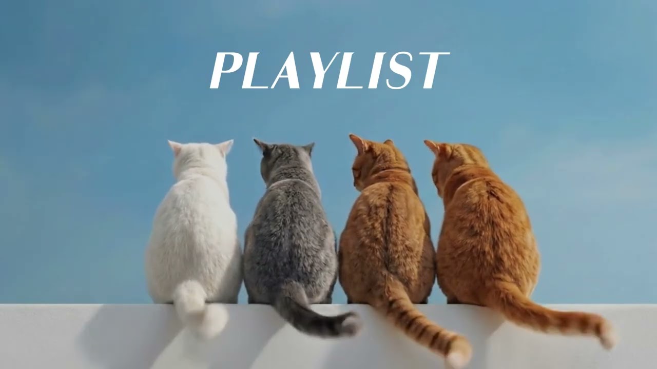 𝐏𝐥𝐚𝐲𝐥𝐢𝐬𝐭🎧 오늘은 그냥, 좋은 일이 생길 것만 같아 ☁️ | Simply Today · Feel-Good Pop Mix 💙🌱