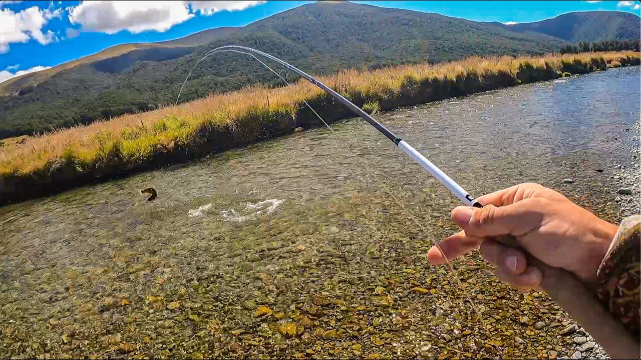 I Caught HUGE Trout from ULTRA Clear River
