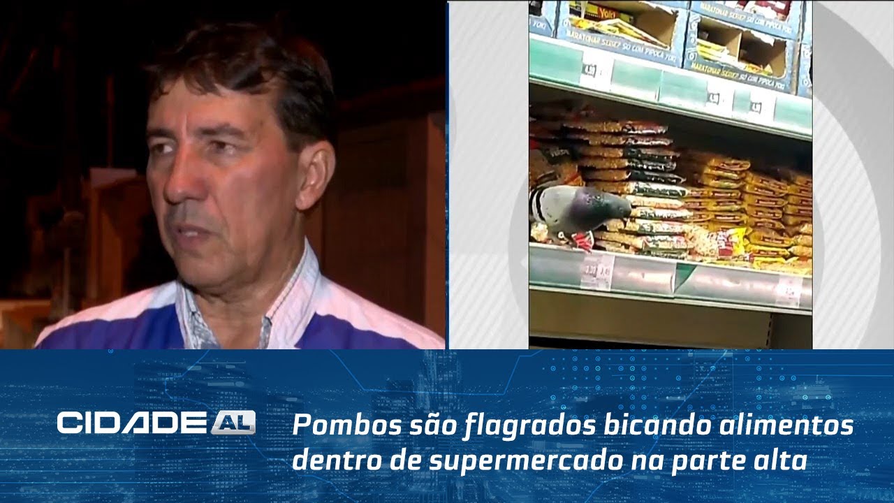 Pombos são flagrados bicando alimentos dentro de supermercado na parte alta