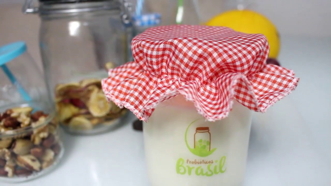 Como Ativar seus Grãos de Kefir de Leite Desidratados