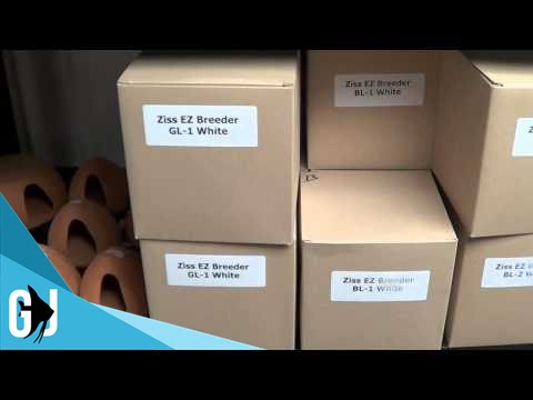 #316: Fishroom Tour - Beantown Aquatics - Update Monday