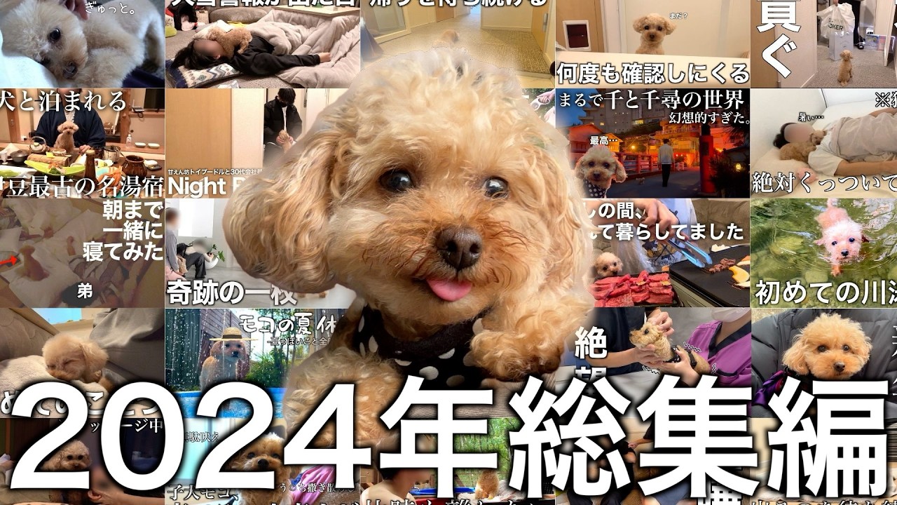 【2024年総集編】1年間ありがとうございました！