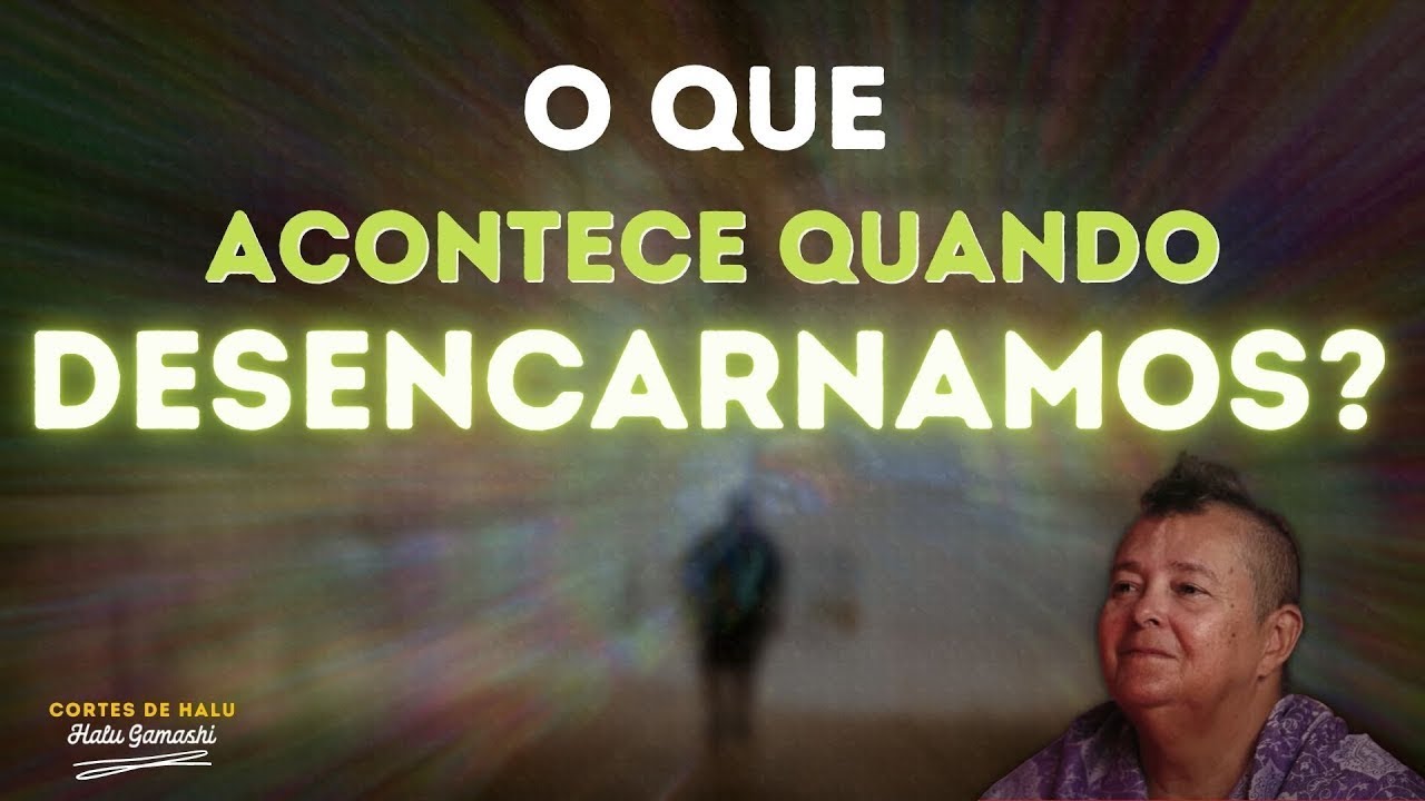 O que acontece quando desencarnamos? | Cortes de Halu