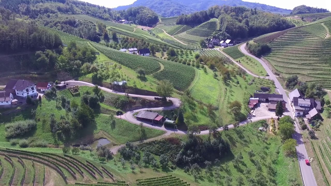 Mit dem Motorrad durch badische Weinberge