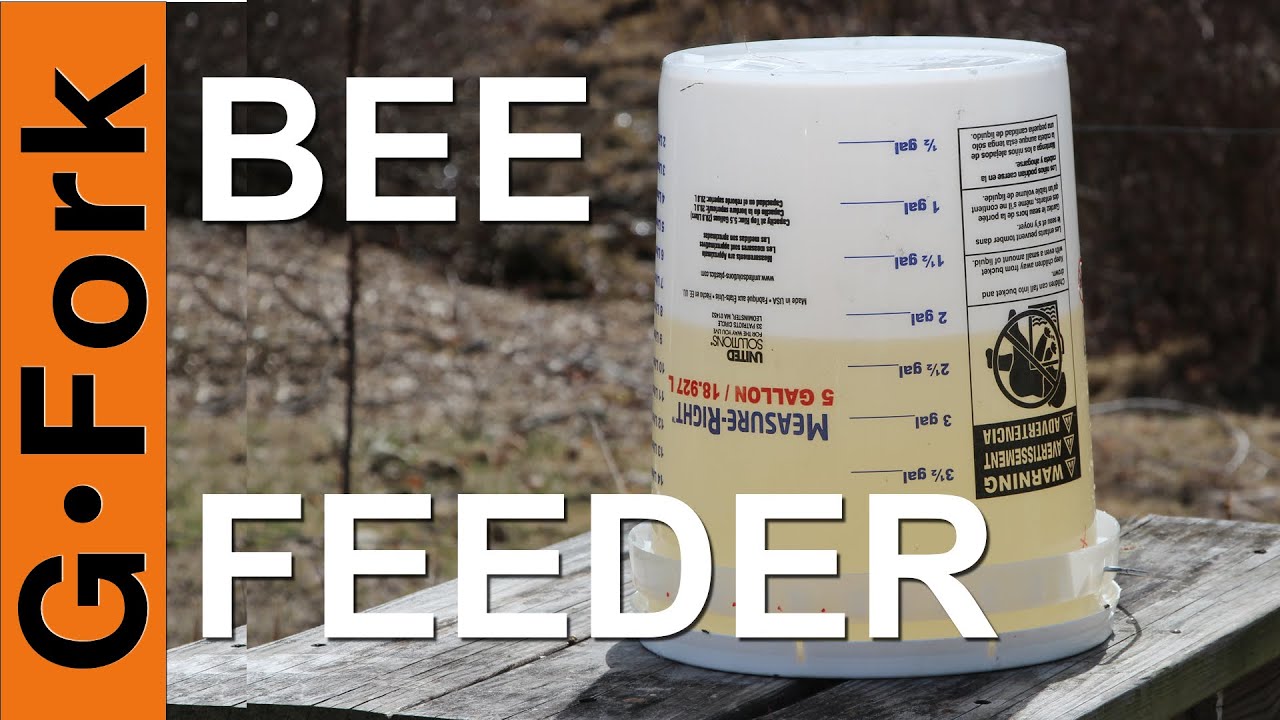 Bucket Bee Feeder - Beekeeping 101 - GardenFork