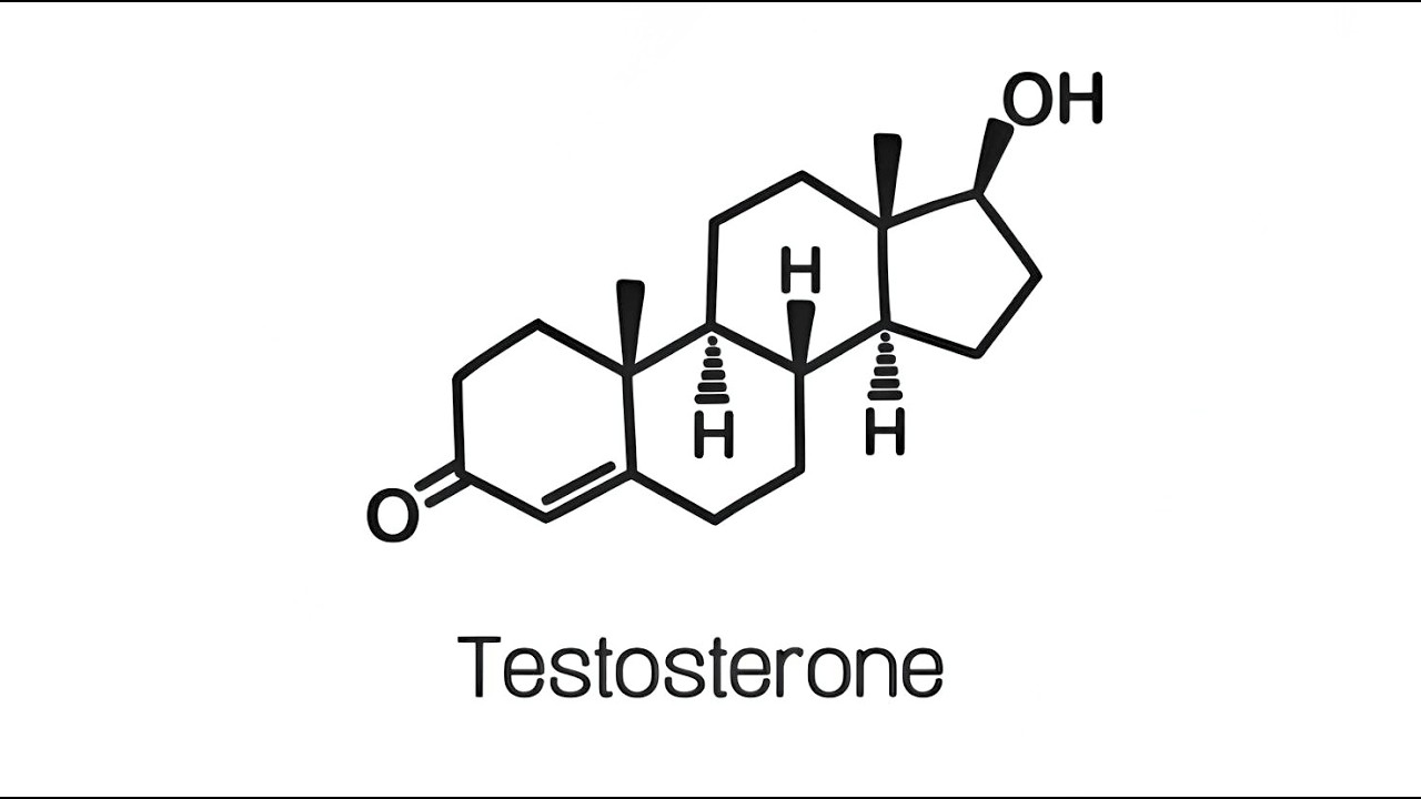 TESTOSTERONE V3 | Androgen Production Optimization & Enhancement | Subliminal + Morphic Field