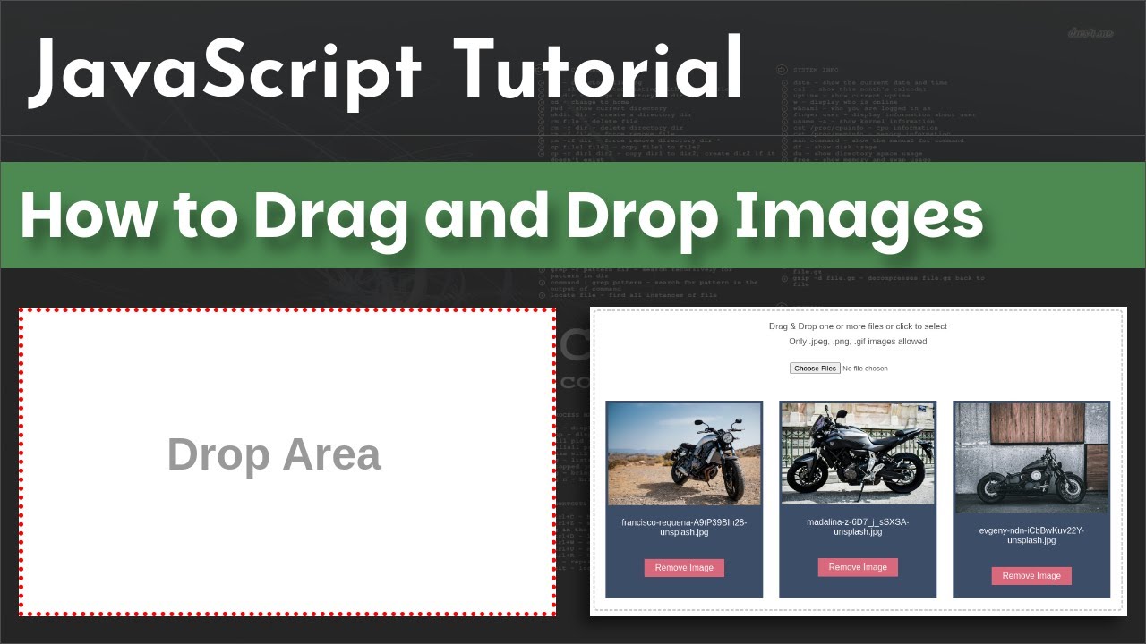 How to Drag and Drop images using JavaScript | JavaScript  Tutorial