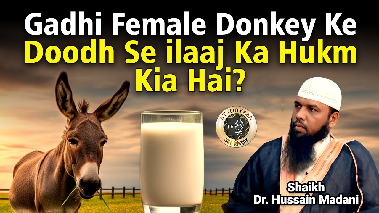 Gadhi - Female donkey Ke Doodh Se ilaaj Ka Hukm Kya Hai? By Dr. Shaikh Hussain Madani At Tibyaan TV