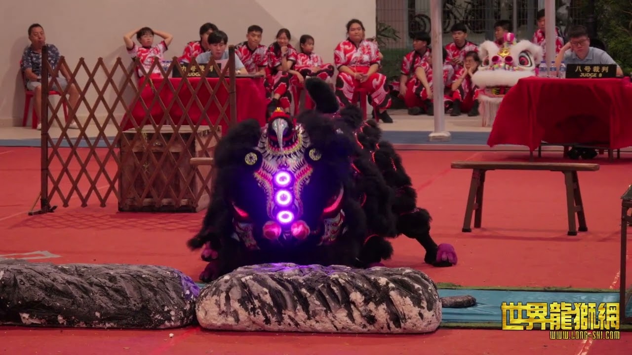 新加坡腾云龙狮体育会 Singapore Teng Yun Dragon & Lion Dance Association