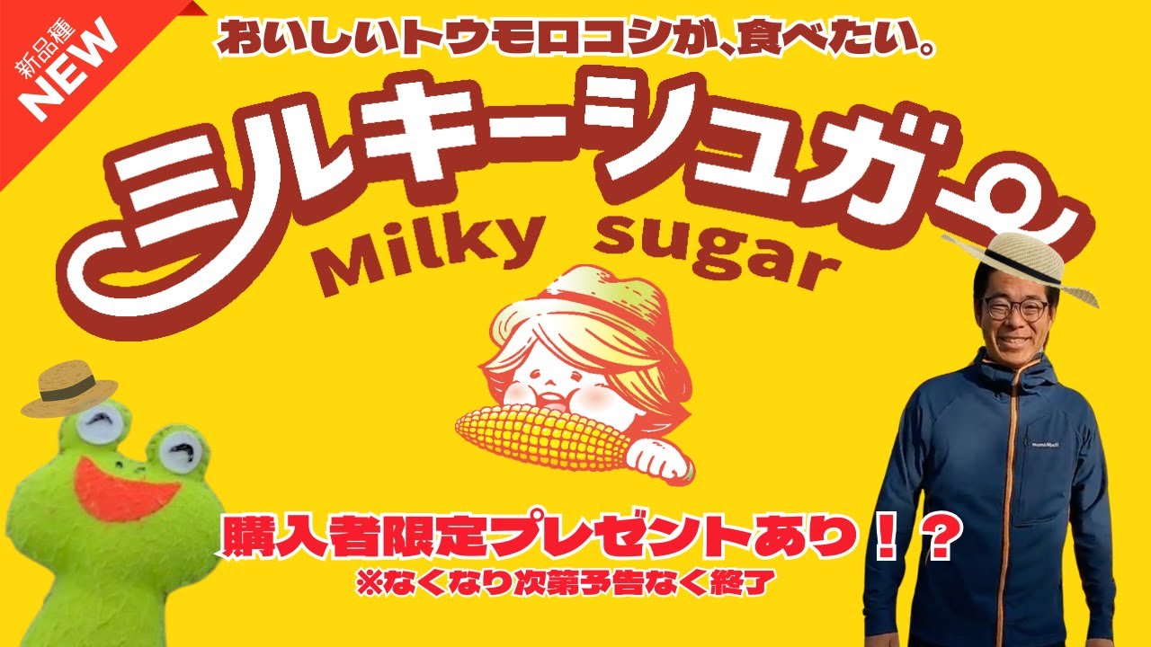 【新品種】低温でも発芽する新品種ミルキーシュガーをご紹介！【スイートコーン】