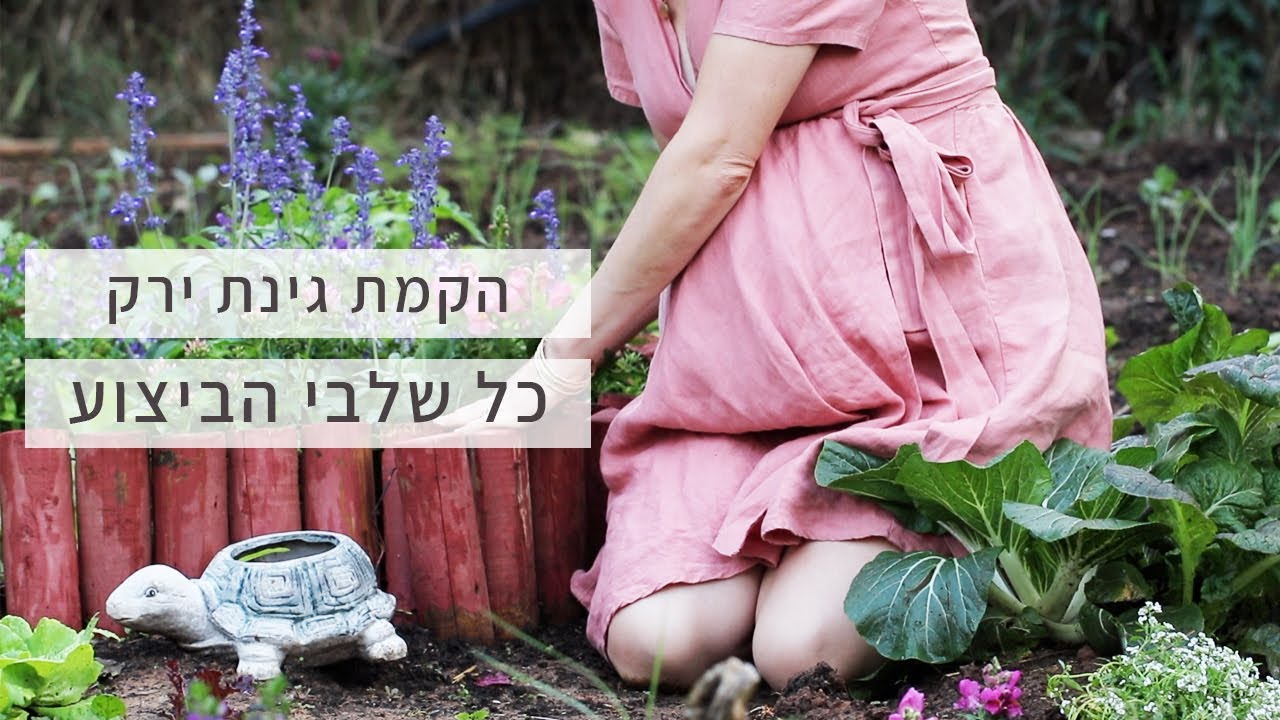 איך מקימים גינה? כל שלבי הכנת הקרקע, עיבוד, קומפוסט, שתילה וטיפול בגינה.