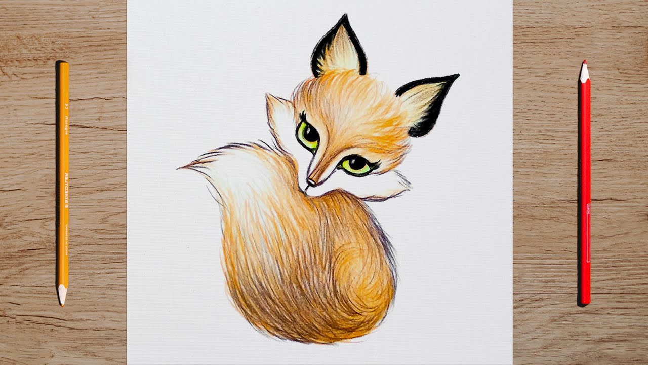 Fox Drawing: How To Draw a Fox with Colour Pencils | Pencil Colour Drawing