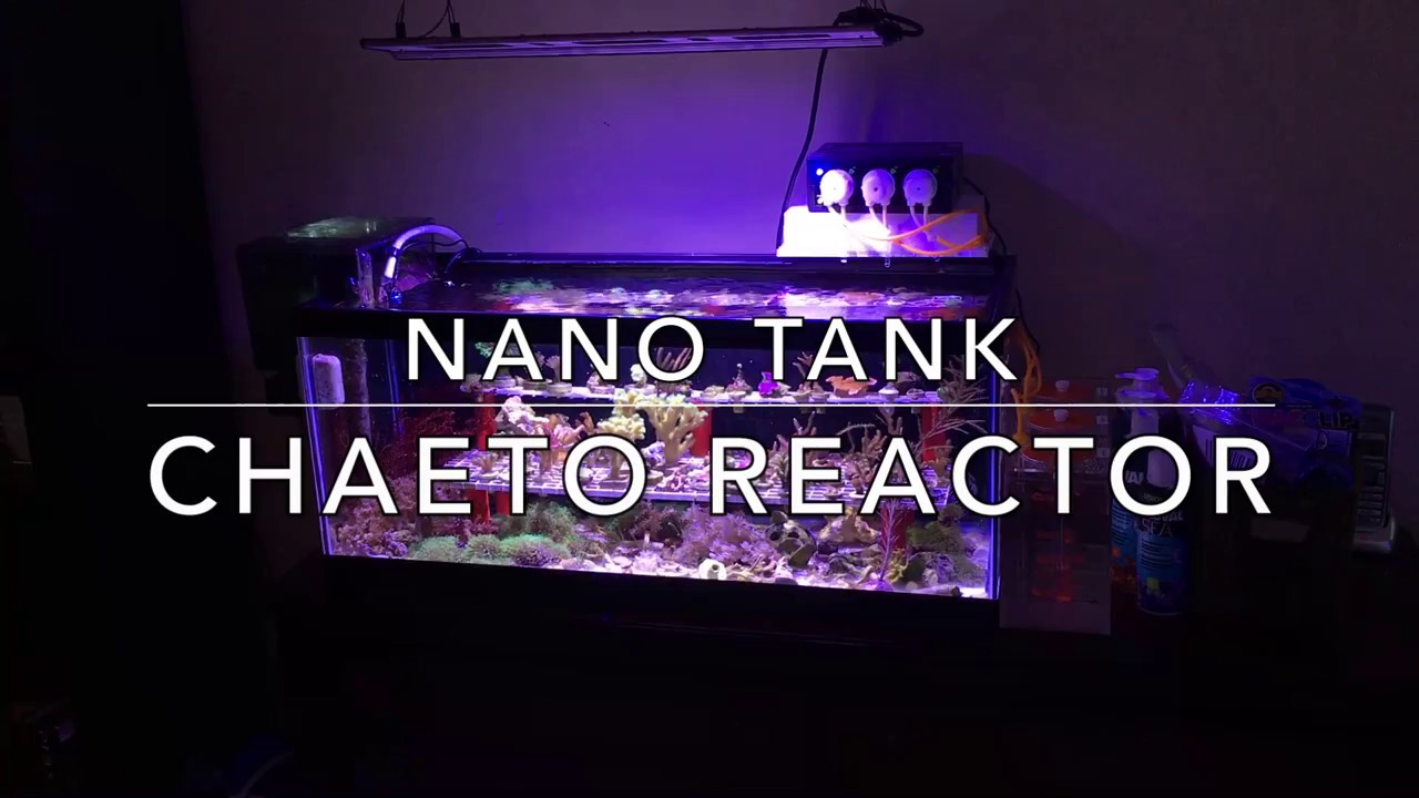 DIY Hang on Back Cheato Reactor for Nano Tanks