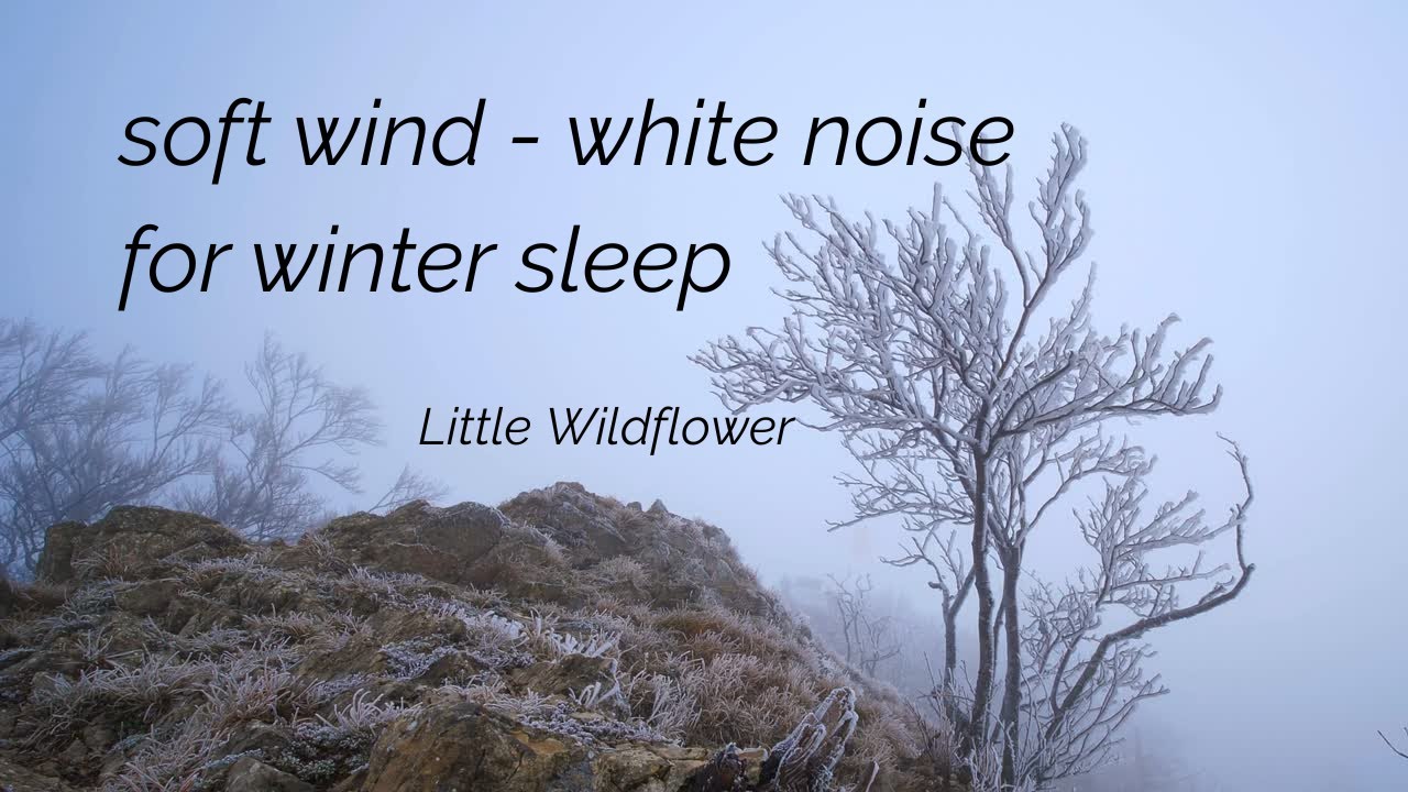 Soft Winter Wind White Noise (Almost Silence) ❄️|Sleep, Study, Calm Focus (1 Hour)|Little Wildflower