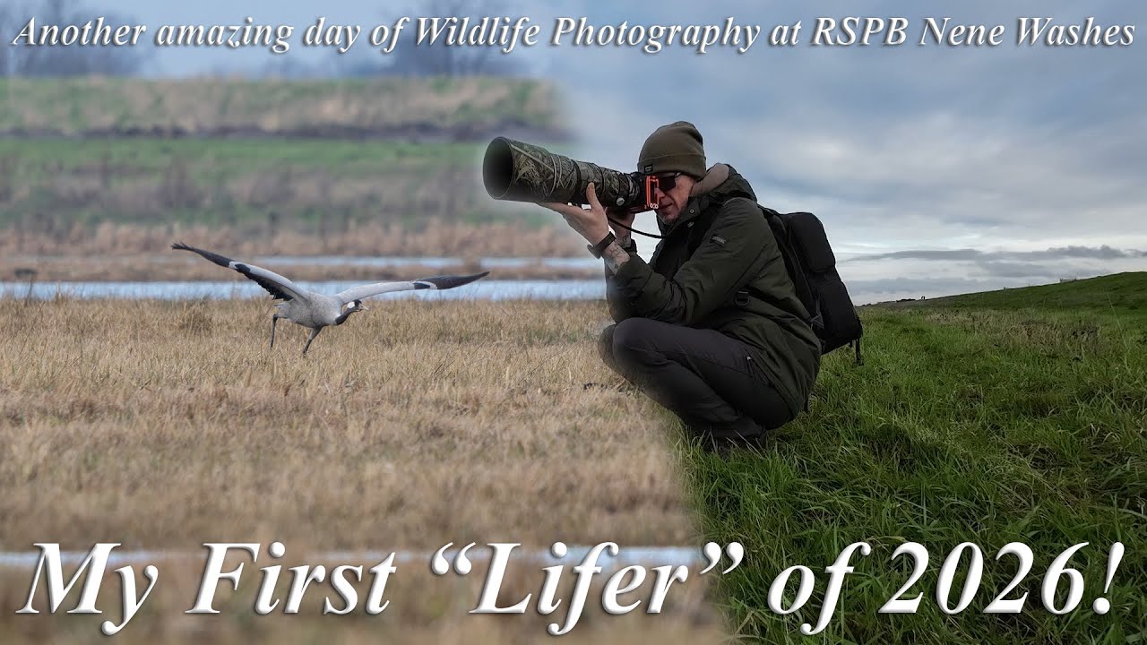 What an AMAZING start to my 2026 wildlife photography