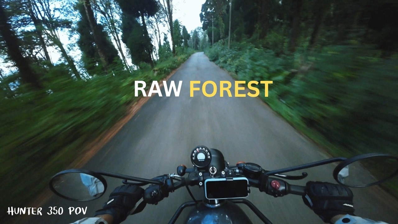 The Forest You Never Leave | Hunter 350 POV Ride