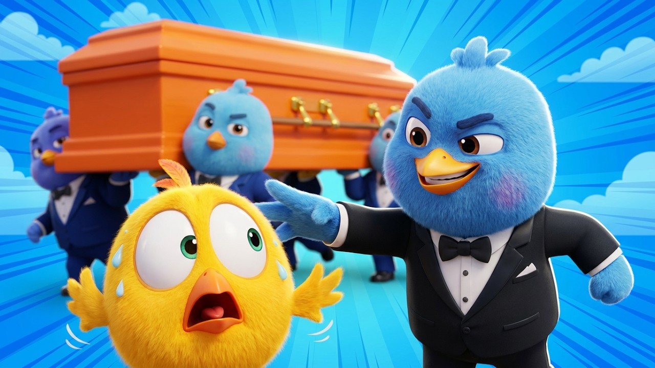 Where&rsquo;s Chicky? | Cartoon Chaos Begins #WheresChicky #CoffinDance