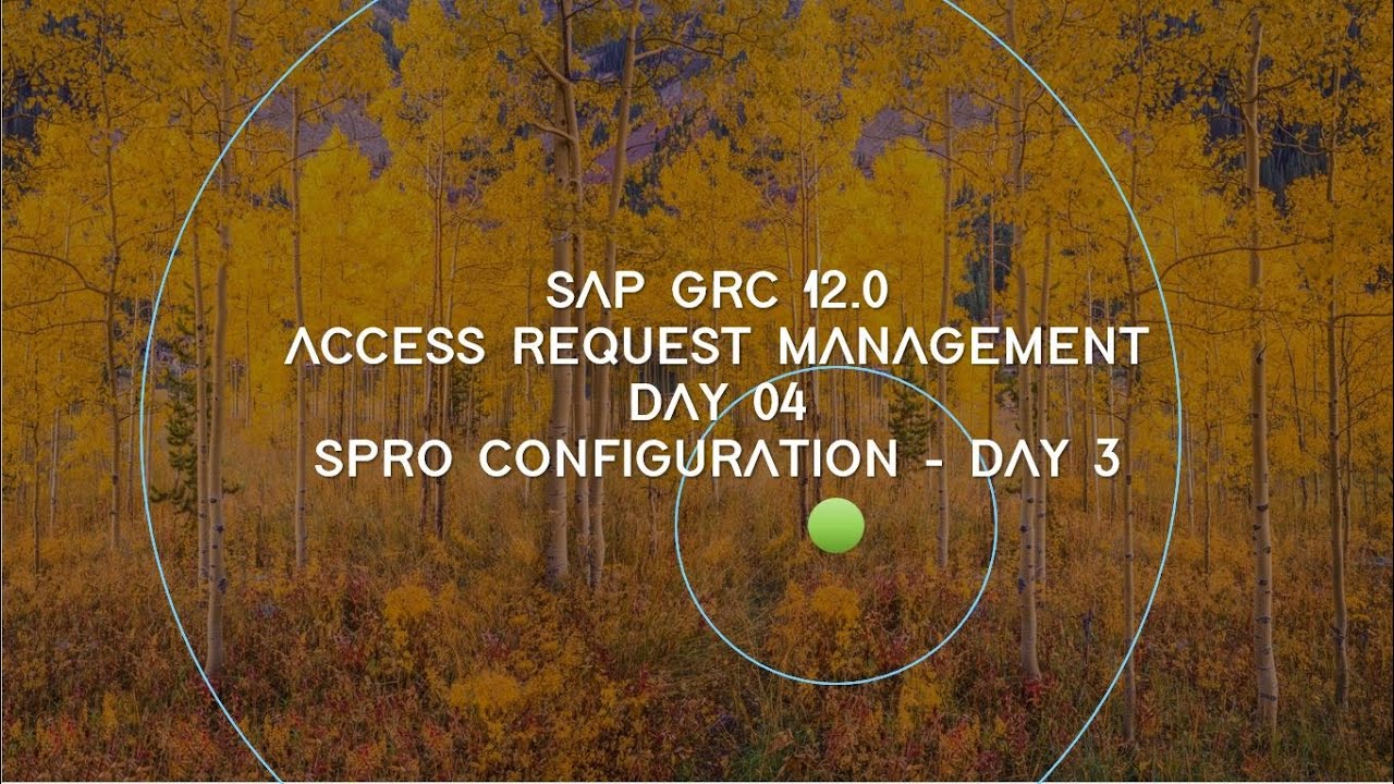 04 - ARM - SPRO CONFIGURATION - CONTNUATION
