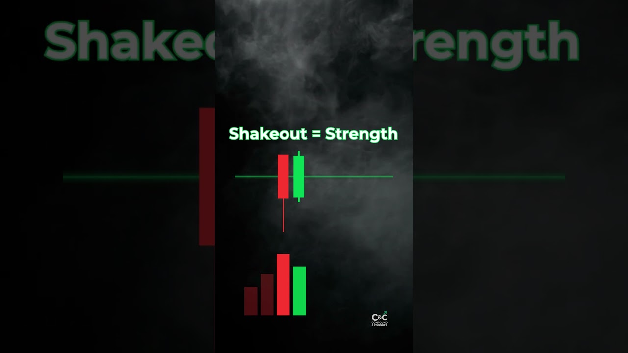 Shakeout: Bear Trap EXPOSED | VPA Entry/Stop/Target