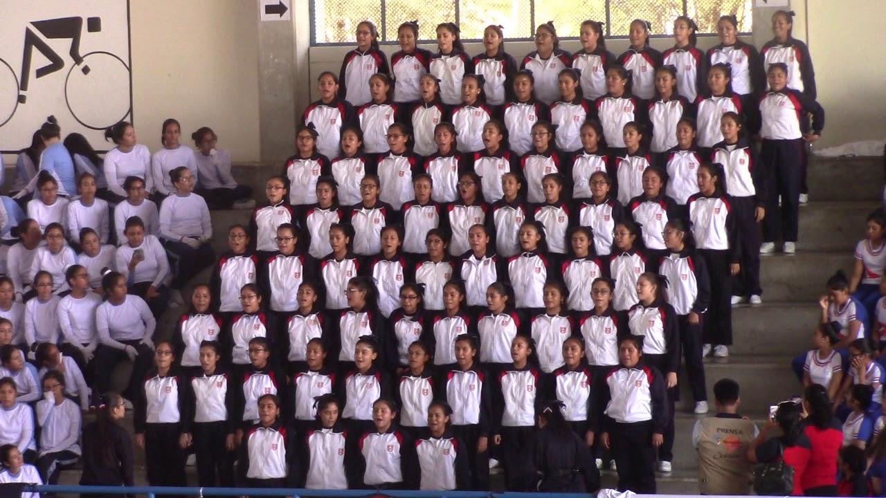 Barra SagradoCorazón ADECORE 2019