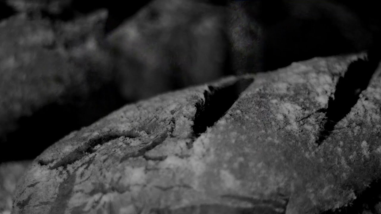 Areis - Le Pain Maudit [Official Lyrics Video]