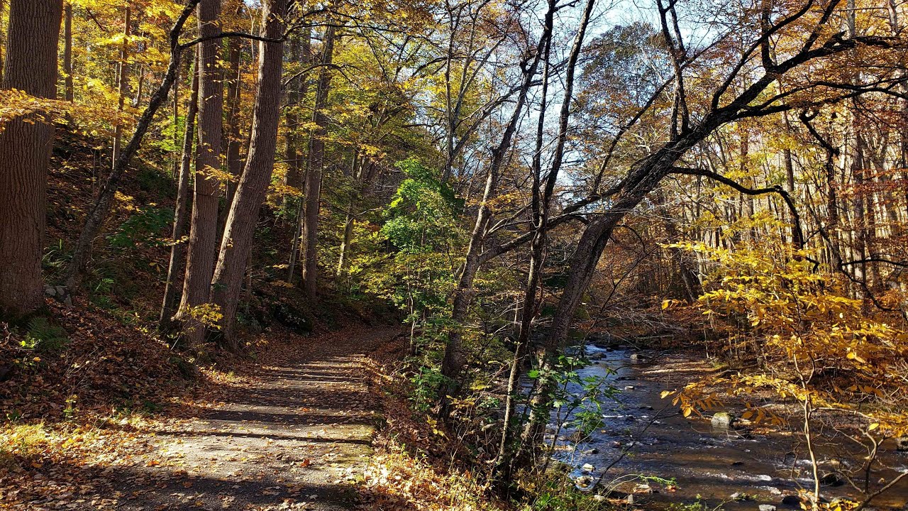 Scenic Fall Cycling Ride | Ken Lockwood Gorge | New Jersey 🇺🇸 | Virtual Bike Ride!