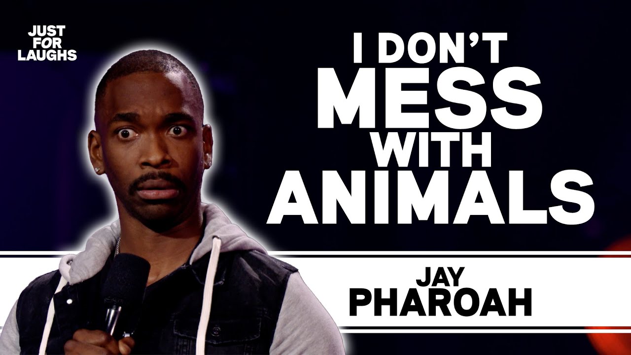 I HATE TRAVELLING | Jay Pharoah
