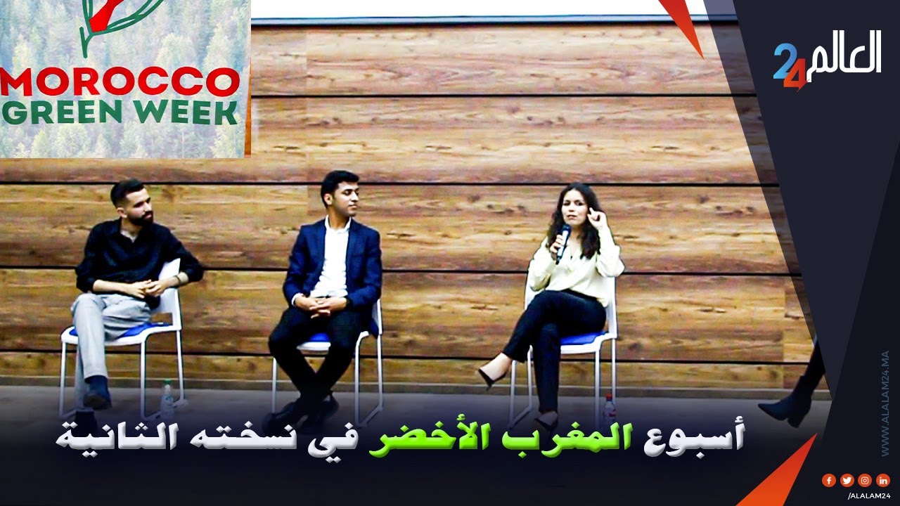 منظمة 