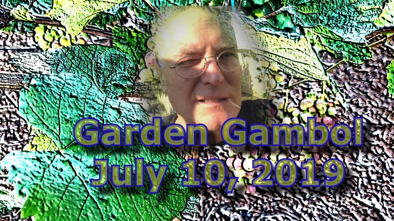 Garden Gambol July 2019