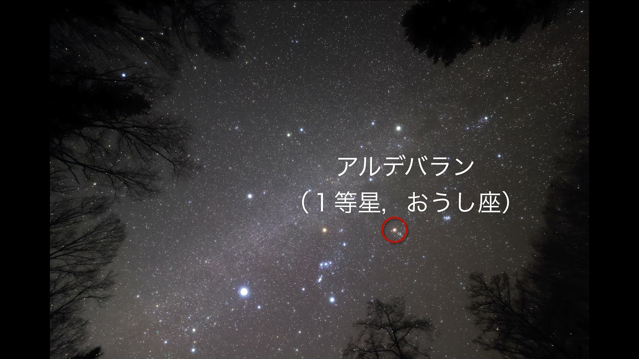 天体写真・冬の空：オリオン座とすばる