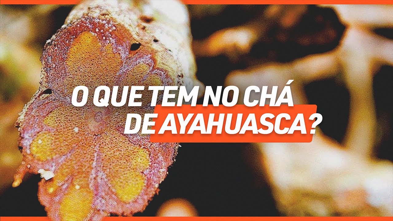 O QUE TEM NO CHÁ DE AYAHUASCA? | Dr. Duprat