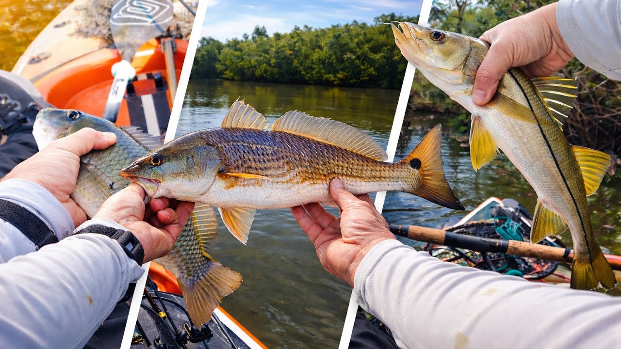 Florida un paraíso para la pesca!  Capturando Multi especies.