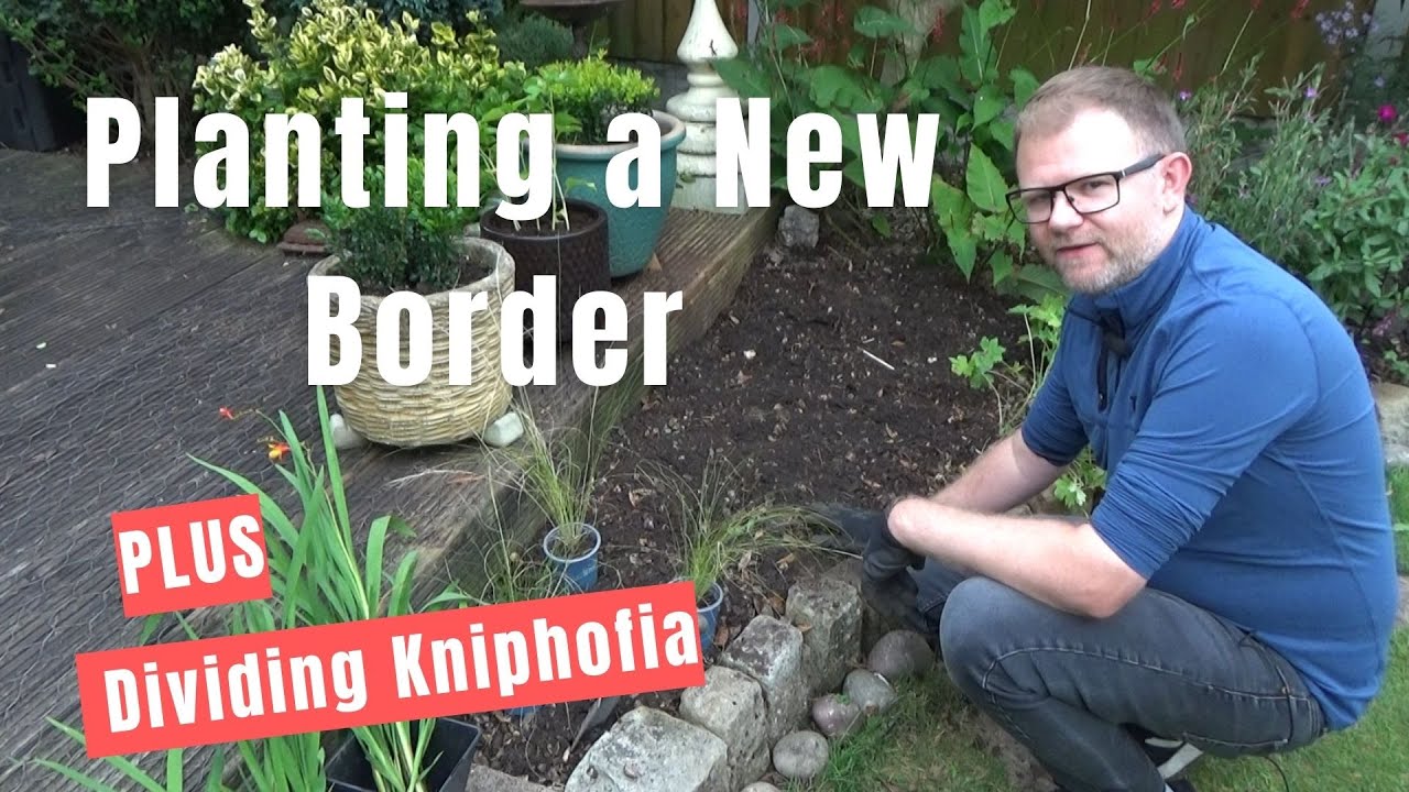 Planting a New Border in Autumn | Dividing Kniphofia (Red Hot Pokers) Planting Design | New Plants