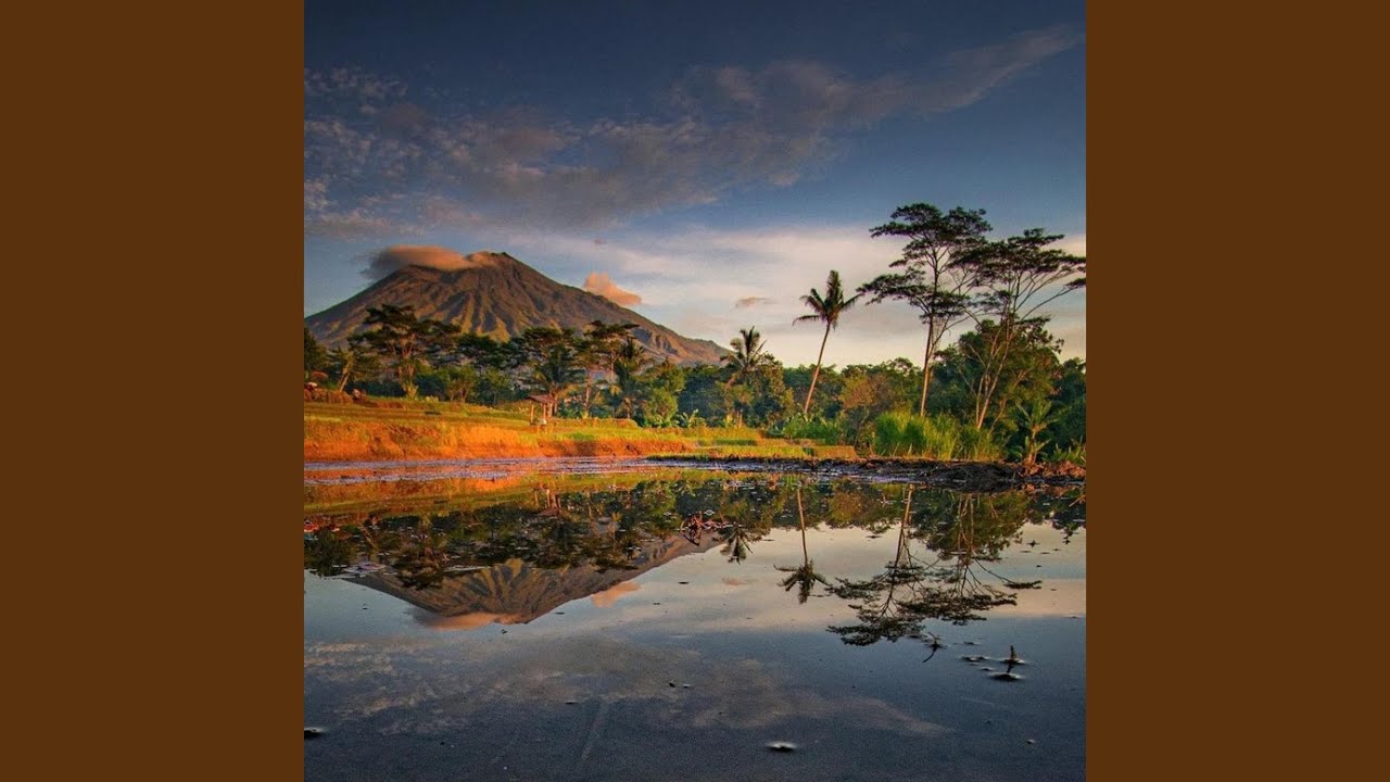 Pesawahan