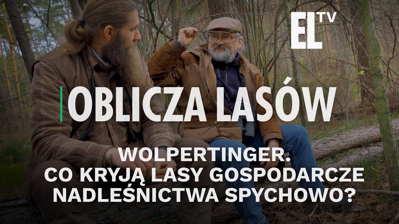 Wolpertinger. Co kryją lasy gospodarcze nadleśnictwa Spychowo? | OBLICZA LASÓW #133