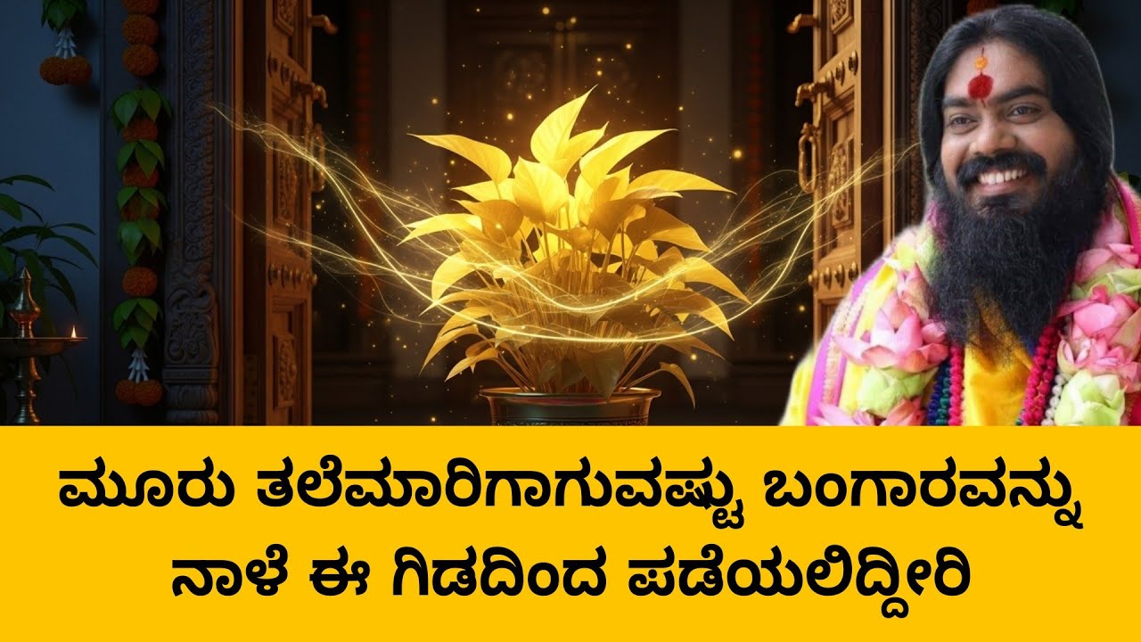 ಮೂರು ತಲೆಮಾರಿಗಾಗುವಷ್ಟು ಬಂಗಾರವನ್ನು ನಾಳೆ ಈ ಗಿಡದಿಂದ ಪಡೆಯಲಿದ್ದೀರಿ.. ! #vishnudattaguruji 