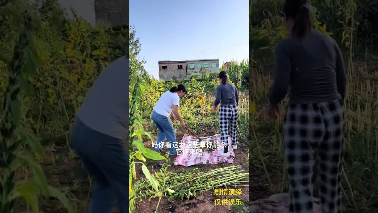 婆媳小姑子日长生活#农村剧情#农村生活