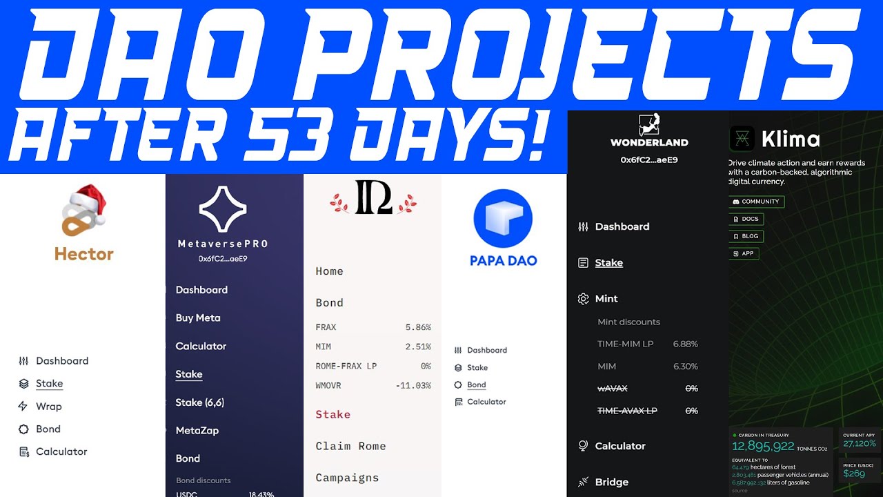 DAO Projects: What It's Like To Be Invested After 53 Days