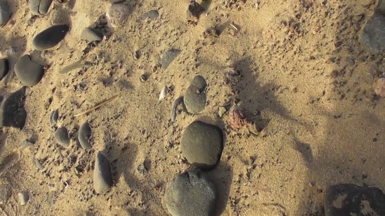Fischers Reisen - die schwarzen Steine von der Insel des Windes