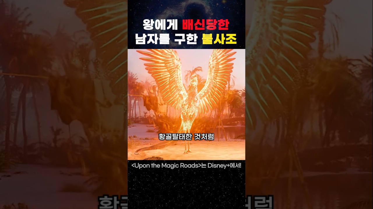 불사조의 눈물! 남자가 왕에게 배신당한 이유는?