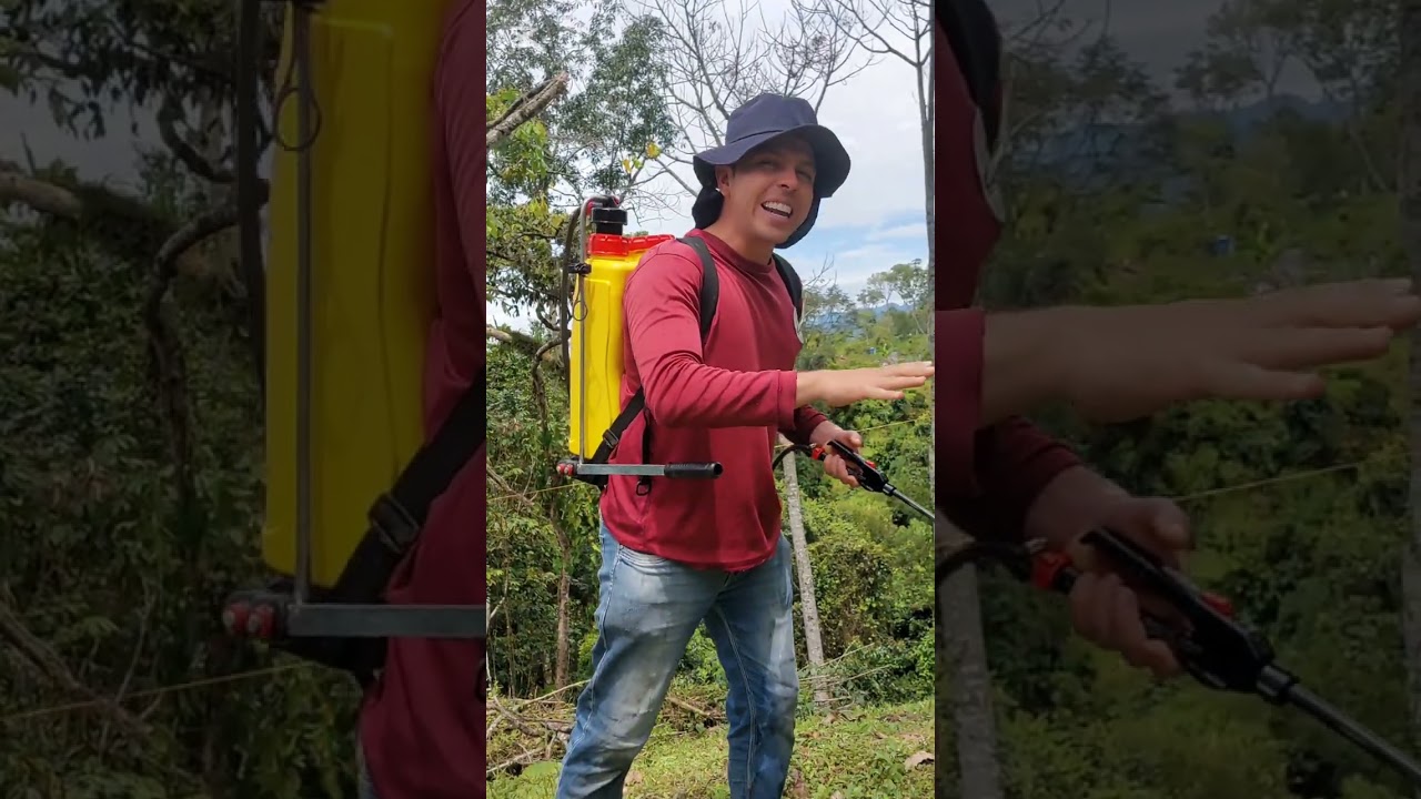 C&oacute;mo preparar el herbicida org&aacute;nico