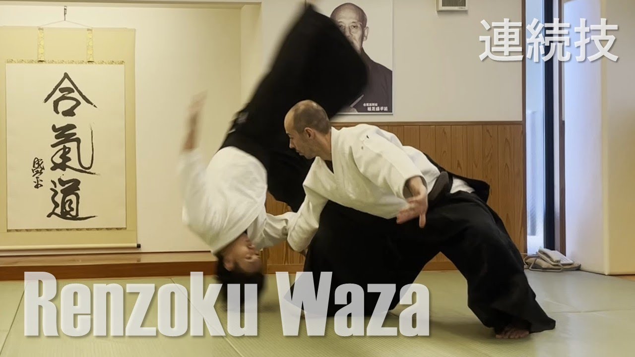 Aikido Renzoku Waza Compilation -  Throwing Variations
