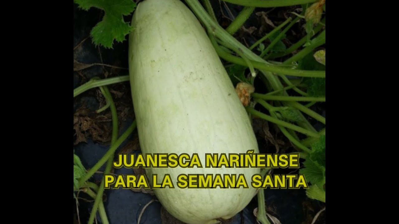 JUANESCA CON CALABAZA PASTUSA - Y TRUCHA FRITA