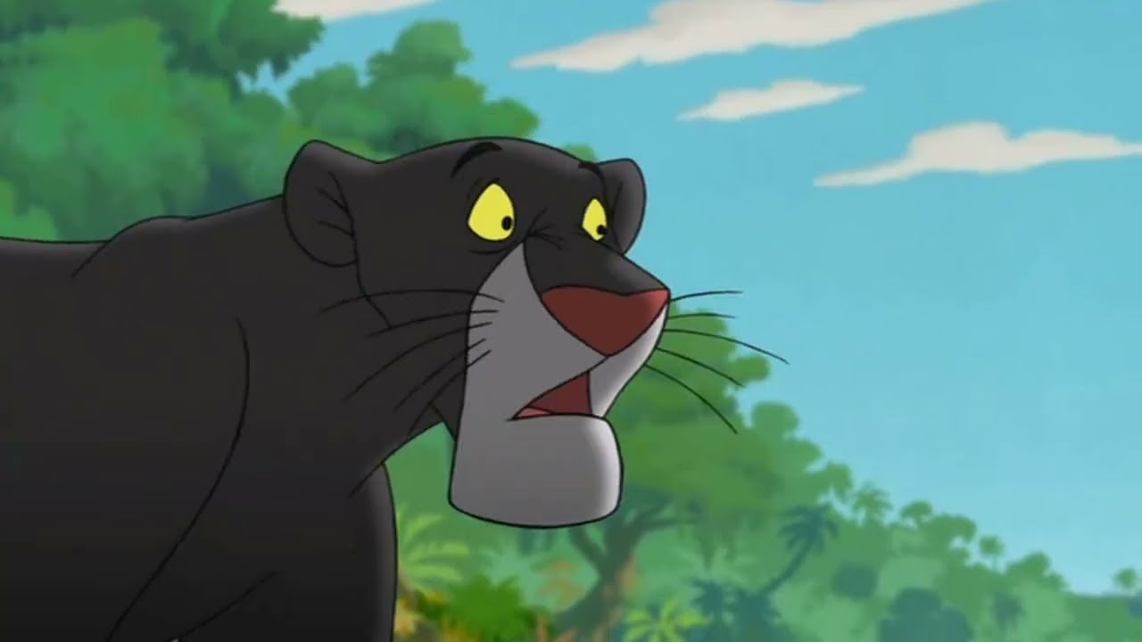 Bagheera x Nala   Lost Get Found